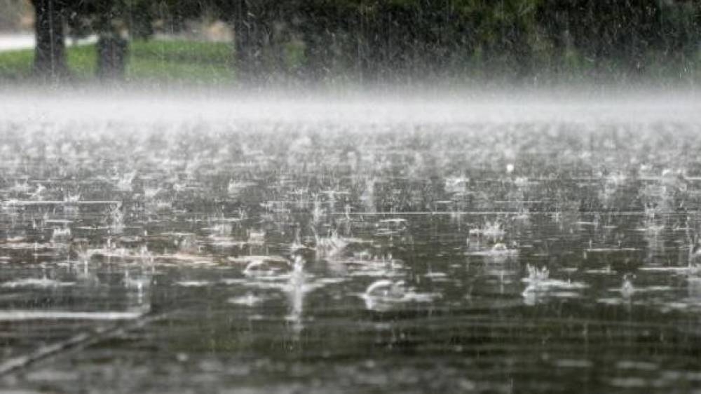 Синоптики прогнозируют дожди
Синоптики прогнозируют дожди