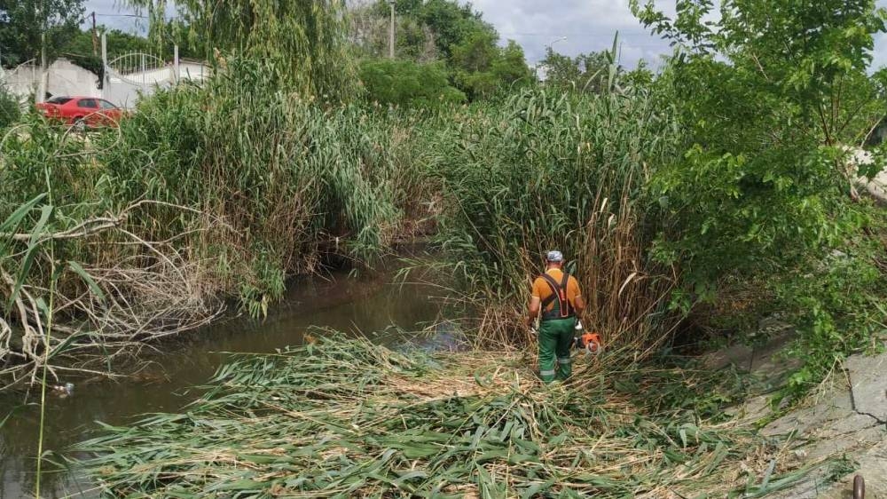 В Феодосии приступили к расчистке склонов реки Байбуга
В Феодосии приступили к расчистке склонов реки Байбуга
