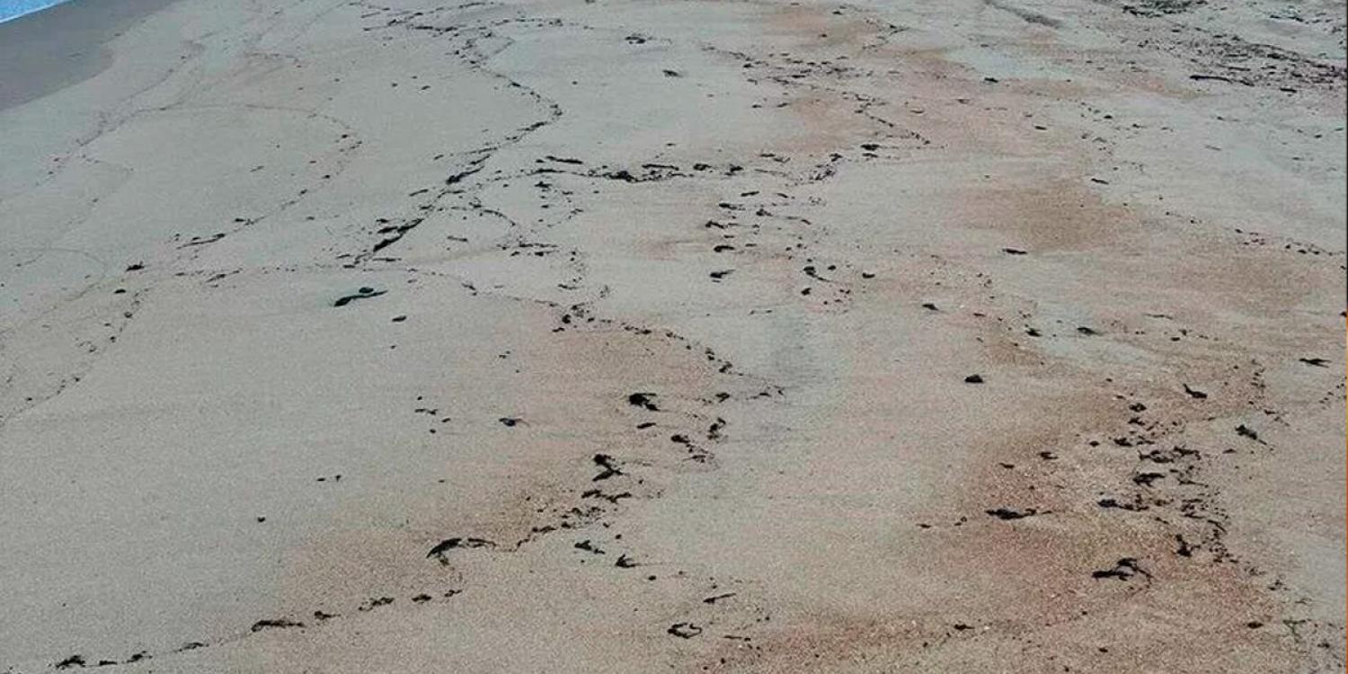 На территории Крыма расширена зона техногенной ЧС из-за разлива мазута в Керченском проливе На территории Крыма расширена зона техногенной ЧС из-за разлива мазута в Керченском проливе