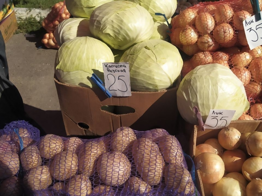 Вкусная капуста и другие овощи стали еженедельными гостями Севастополя Вкусная капуста и другие овощи стали еженедельными гостями Севастополя