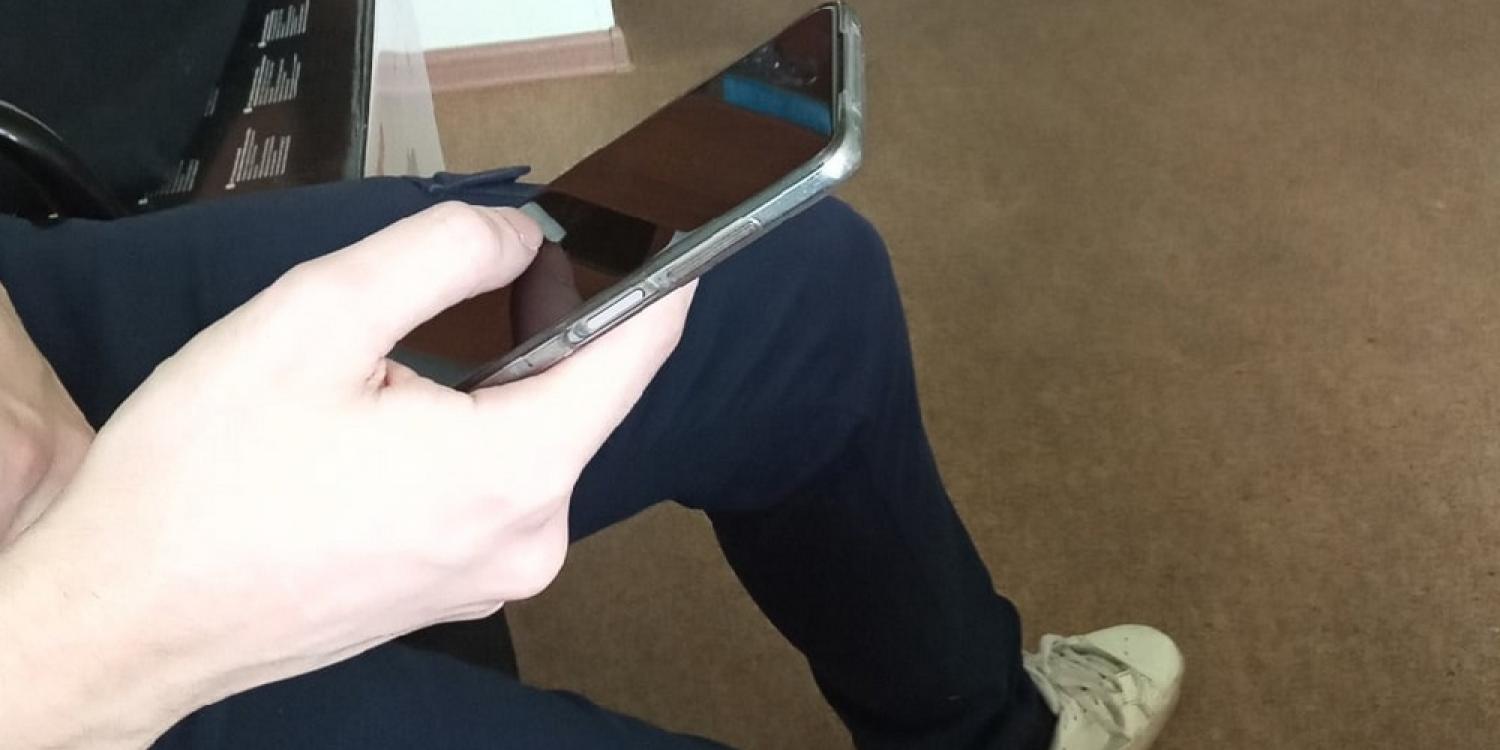 Жители Судака жалуются на бродячих собак Жители Судака жалуются на бродячих собак