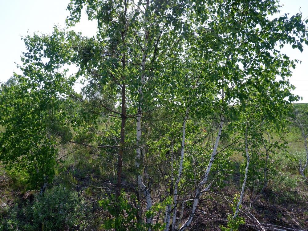 В Ялте состоялось совещание по подготовке к курортному сезону В Ялте состоялось совещание по подготовке к курортному сезону