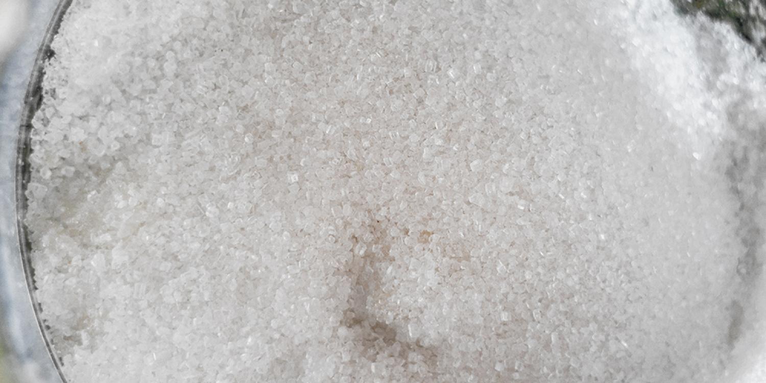 В Крыму начался сбор розовой соли В Крыму начался сбор розовой соли