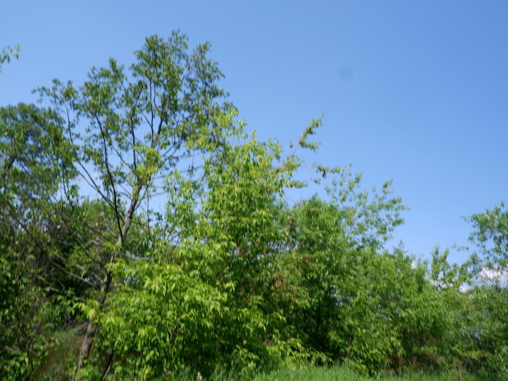 На территории Севастополя введен режим повышенной готовности из-за плохой погоды На территории Севастополя введен режим повышенной готовности из-за плохой погоды