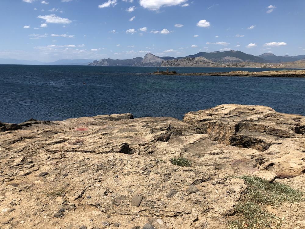 Разрушения на Каховской ГЭС могут навредить посевам свеклы и риса в Крыму Разрушения на Каховской ГЭС могут навредить посевам свеклы и риса в Крыму