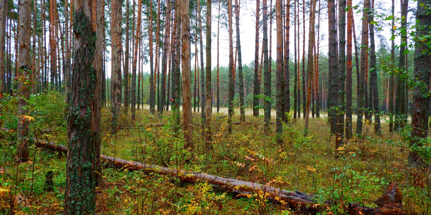 На 12 июля в Крыму объявлено штормовое предупреждение На 12 июля в Крыму объявлено штормовое предупреждение