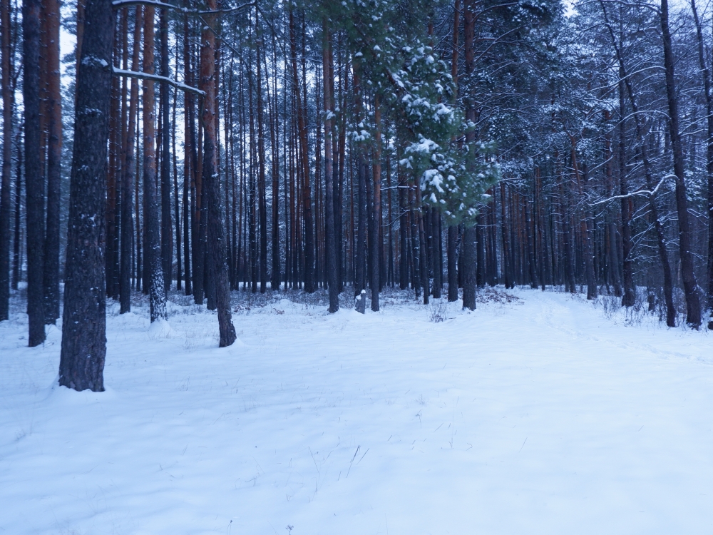 На три дня в Крыму объявлено штормовое предупреждение из-за снега и дождя На три дня в Крыму объявлено штормовое предупреждение из-за снега и дождя