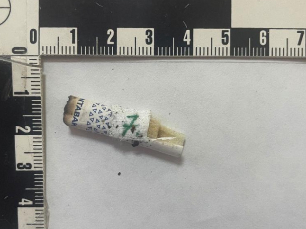 Севастопольский эксгибиционист-педофил был найден с помощью окурка Севастопольский эксгибиционист-педофил был найден с помощью окурка