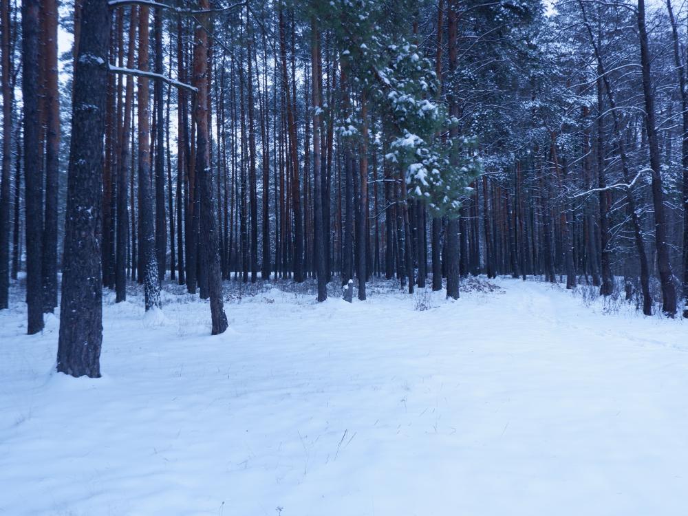 В Крыму на 3 февраля объявлено штормовое предупреждение из-за плохой погоды В Крыму на 3 февраля объявлено штормовое предупреждение из-за плохой погоды