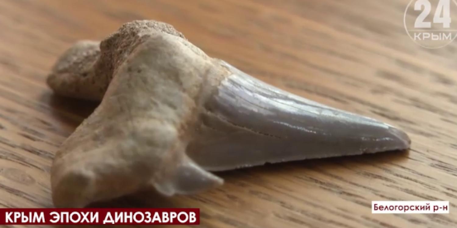 В пещере «Таврида» палеонтологи наткнулись на скелеты древних млекопитающих В пещере «Таврида» палеонтологи наткнулись на скелеты древних млекопитающих