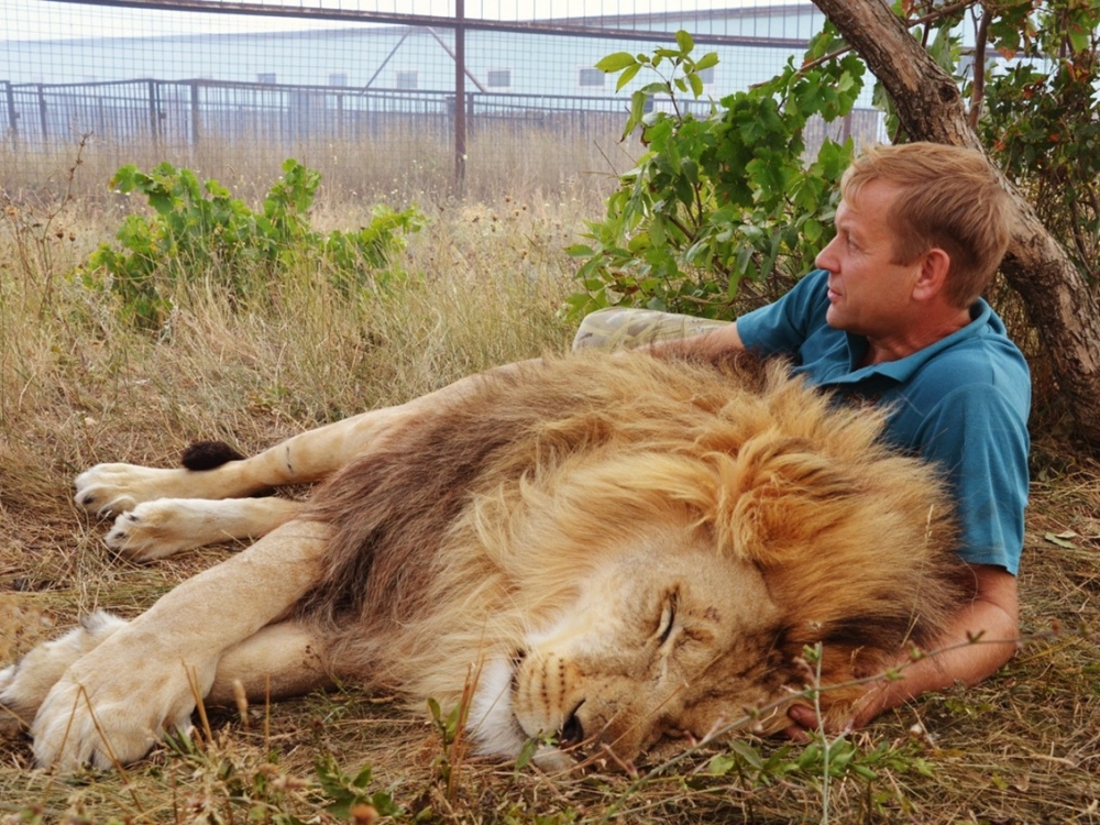 Директор «Тайгана» Зубков осужден на 2 года и 3 месяца за инцидент с откушенным у ребенка пальцем Директор «Тайгана» Зубков осужден на 2 года и 3 месяца за инцидент с откушенным у ребенка пальцем