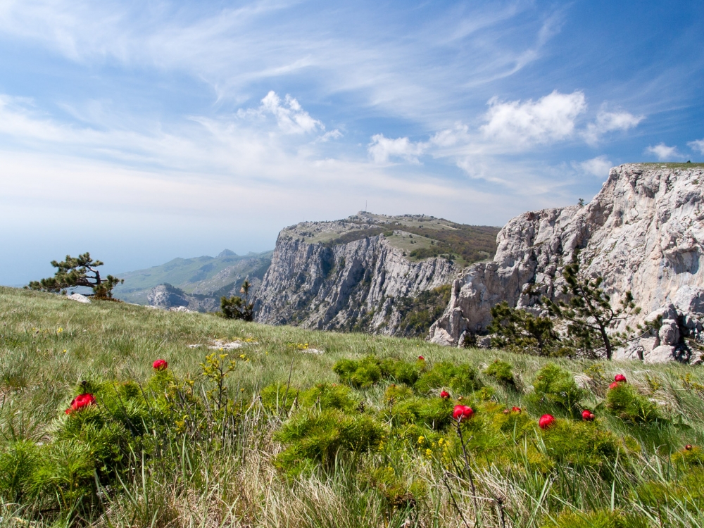 В Крыму создана рабочая группа по обеспечению безопасности курортного сезона В Крыму создана рабочая группа по обеспечению безопасности курортного сезона