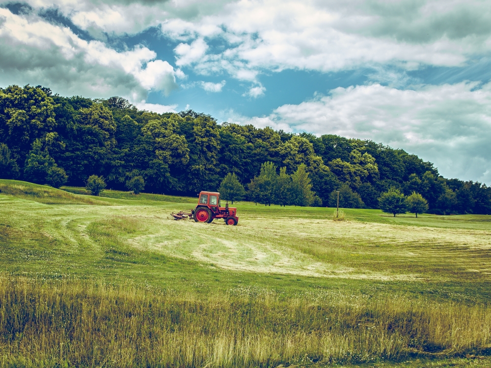В Крыму за требование от подчиненного убрать букву Z с лобового стекла трактора мужчина заплатит штр В Крыму за требование от подчиненного убрать букву Z с лобового стекла трактора мужчина заплатит штр