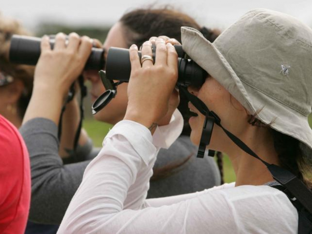 В Алупке и Евпатории обустроят туристические маршруты за 336 млн рублей В Алупке и Евпатории обустроят туристические маршруты за 336 млн рублей