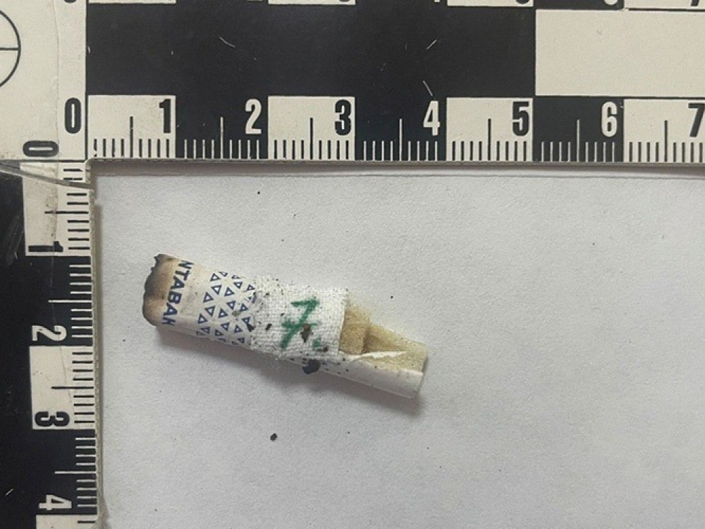 Следователи нашли эксгибициониста-педофила в Севастополе благодаря брошенному им окурку Следователи нашли эксгибициониста-педофила в Севастополе благодаря брошенному им окурку