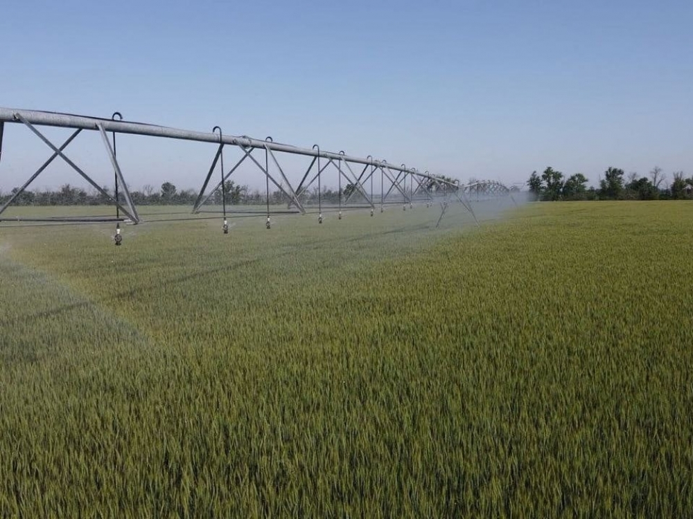 Восстановление мелиоративной сети Северо-Крымского канала обойдётся в 10 млрд рублей Восстановление мелиоративной сети Северо-Крымского канала обойдётся в 10 млрд рублей