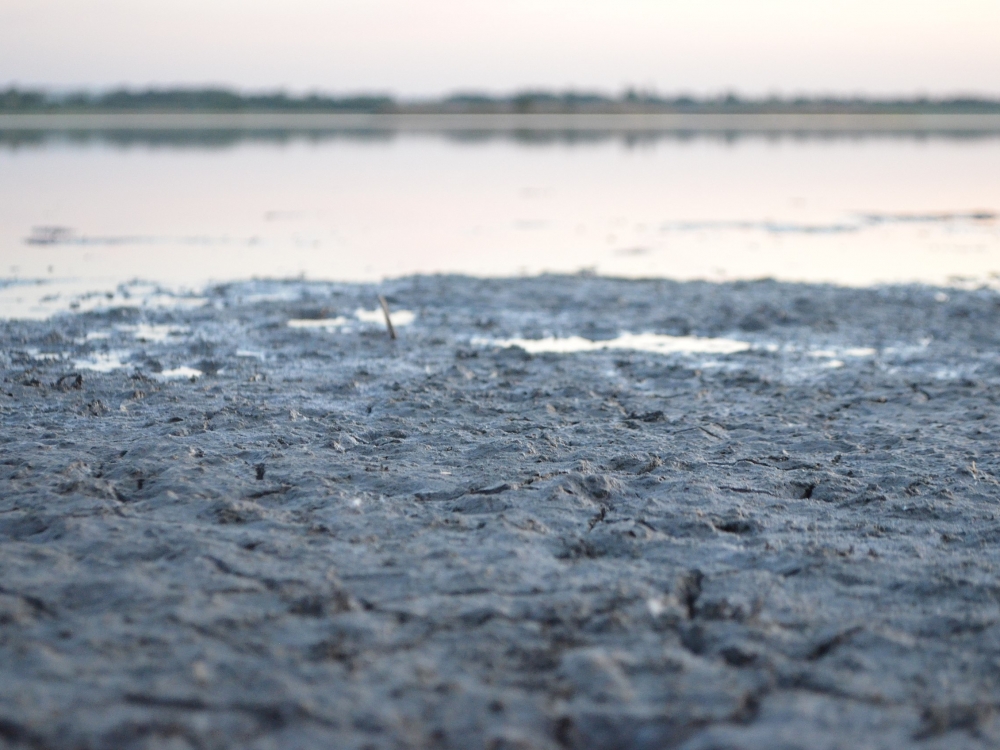 Бывшая работница госпредприятия в Крыму отправится в колонию за растрату лечебной грязи на 1,2 млн р Бывшая работница госпредприятия в Крыму отправится в колонию за растрату лечебной грязи на 1,2 млн р