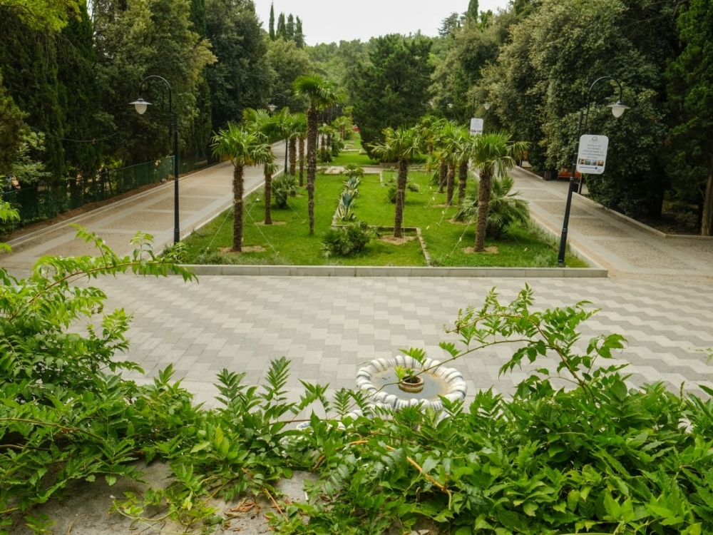 В Приморском парке Ялты высадили 80 новых пальм В Приморском парке Ялты высадили 80 новых пальм