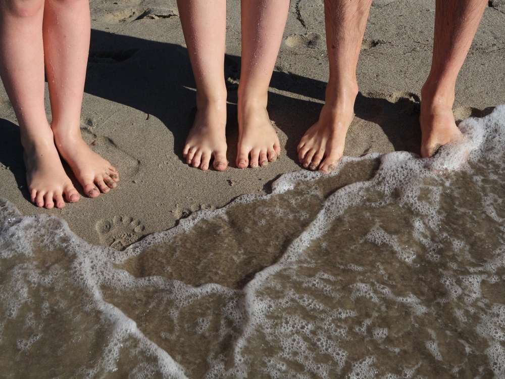 В Крыму приняли на отдых около двух тысяч детей из ЛДНР и освобожденных областей В Крыму приняли на отдых около двух тысяч детей из ЛДНР и освобожденных областей