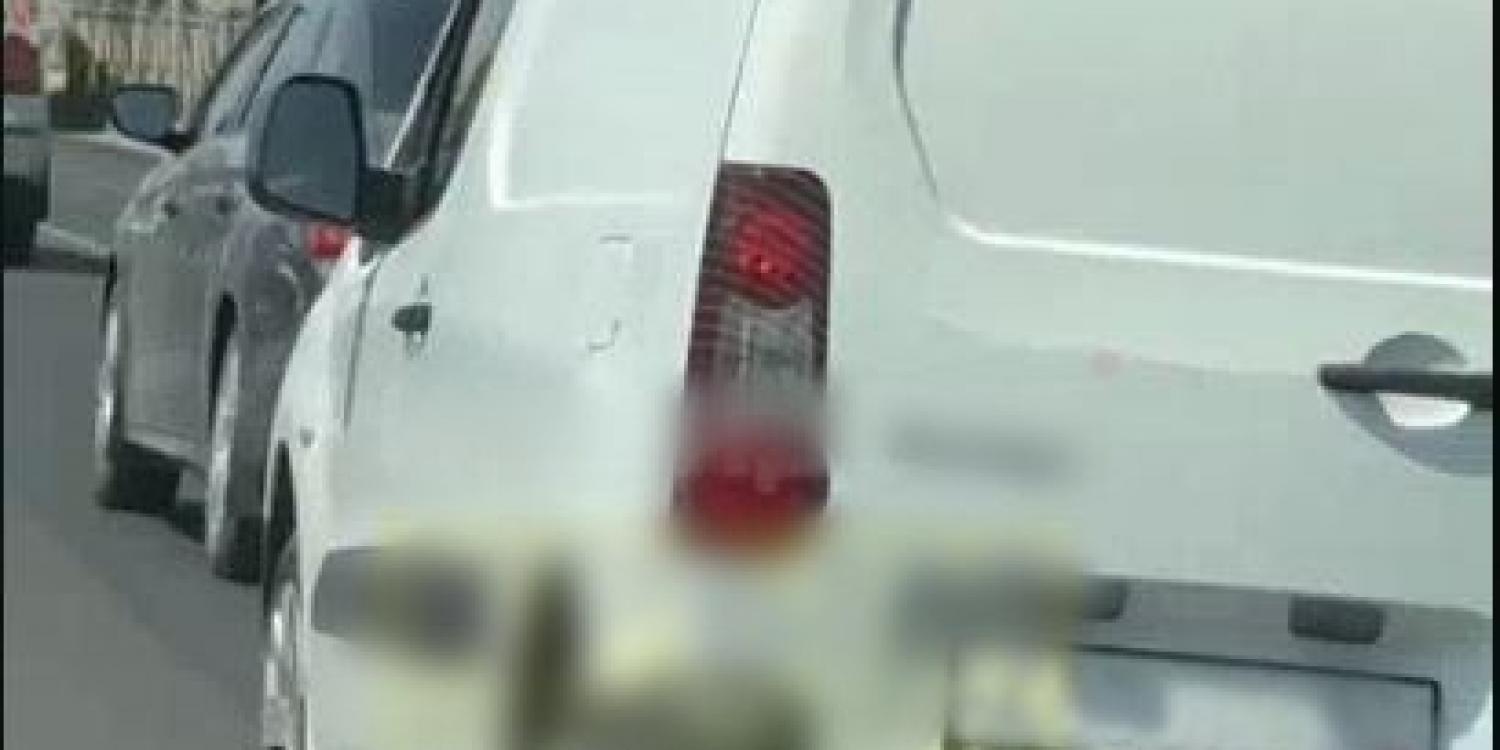 Симферопольские правоохранители привлекли к ответственности шофёра с нечитаемыми номерами Симферопольские правоохранители привлекли к ответственности шофёра с нечитаемыми номерами