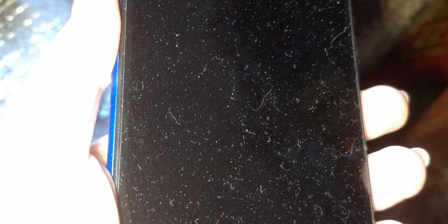 Крымские студенты 5 раз выехали в зону Спецоперации с гуманитарными целями