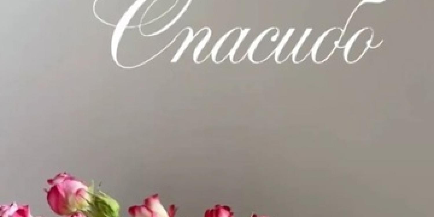 Олег Зубков заявил об отказе от усыпления напавшего на него льва