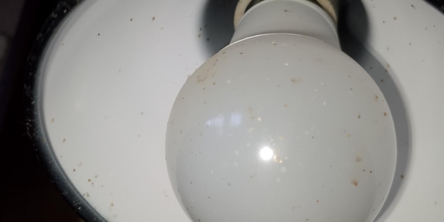 В Евпатории пропало электричество 3 июля В Евпатории пропало электричество 3 июля