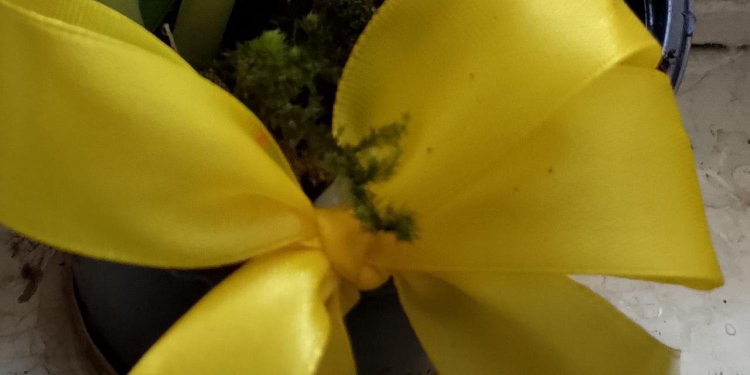 Крымские автоинспекторы вручили цветы женщинам за рулём Крымские автоинспекторы вручили цветы женщинам за рулём